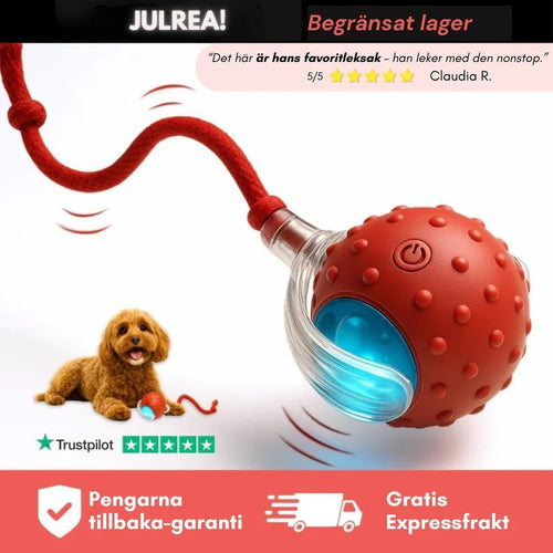 Kifaya – Intelligent interaktiv boll