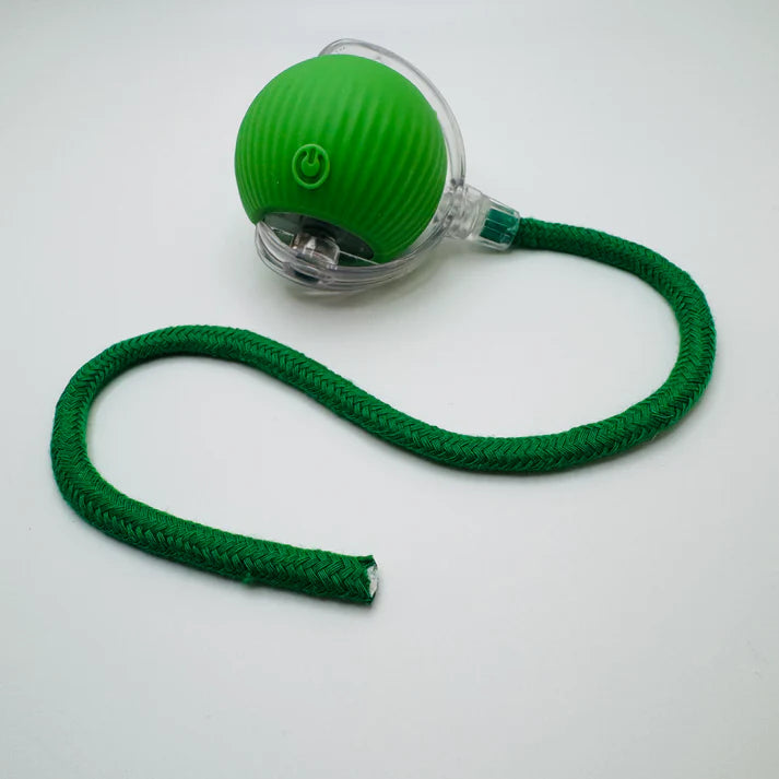 Kifaya – Intelligent interaktiv boll