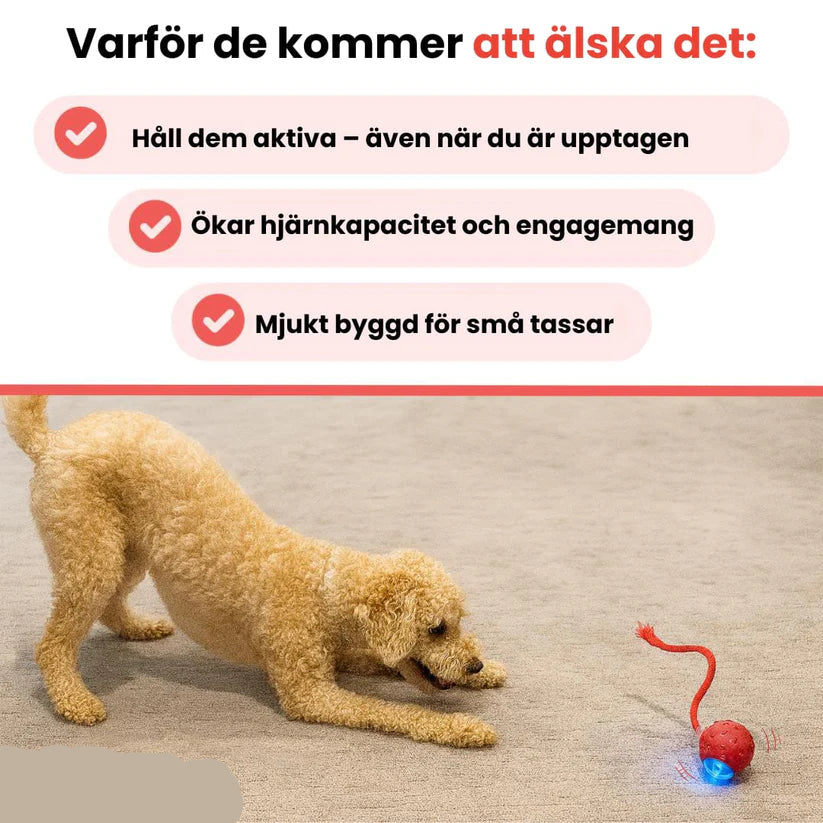 Kifaya – Intelligent interaktiv boll