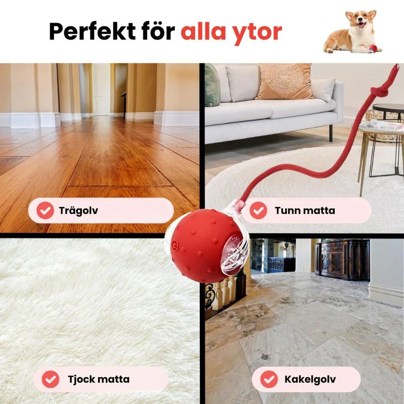 Kifaya – Intelligent interaktiv boll