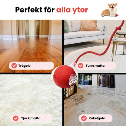 Kifaya – Intelligent interaktiv boll
